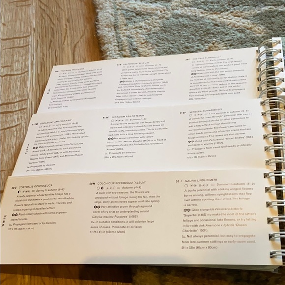 π The Garden Color Book on Flowers Spring Summer Flower Gardening P. Williams - Picture 7 of 10